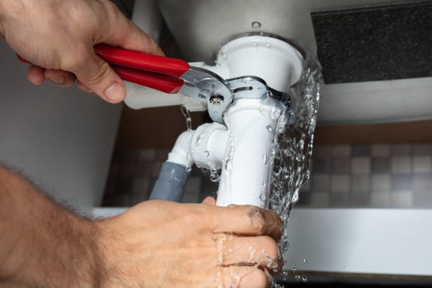 Best Professional water damage repair  in Grambling, LA