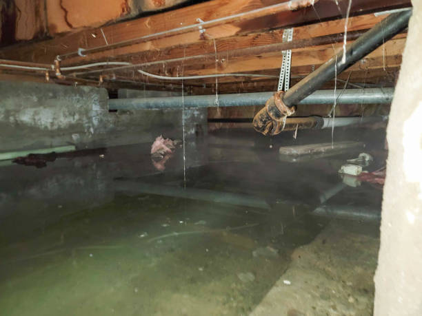 Best Water damage restoration near me  in Grambling, LA