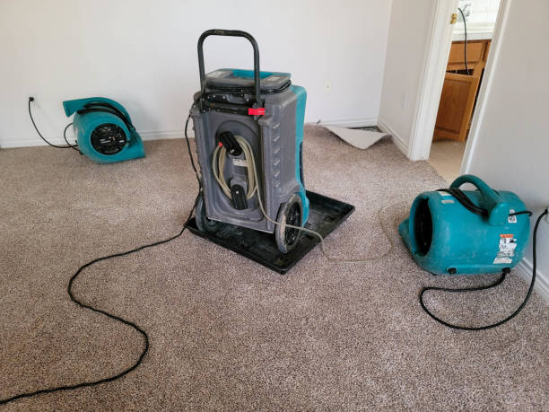 Best 24/7 water damage repair  in Grambling, LA