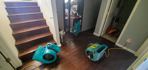 Best Commercial water damage restoration  in Grambling, LA