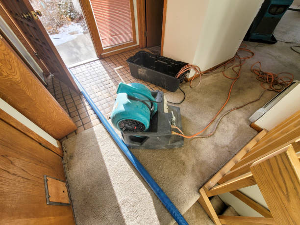 Best Ceiling water damage repair  in Grambling, LA