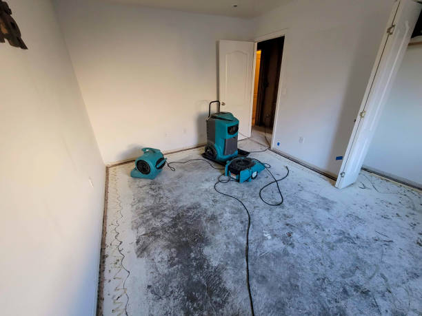 Best Residential water damage restoration  in Grambling, LA