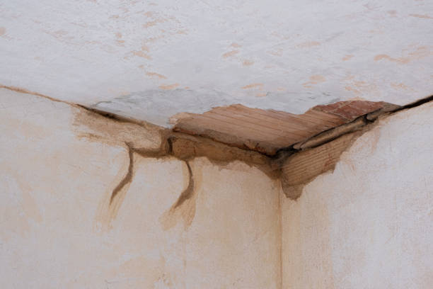 Best Water damage restoration experts  in Grambling, LA