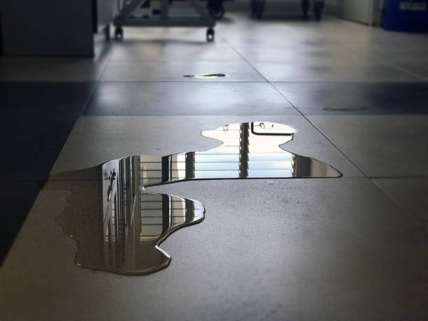 Best 24-hour water damage restoration  in Grambling, LA