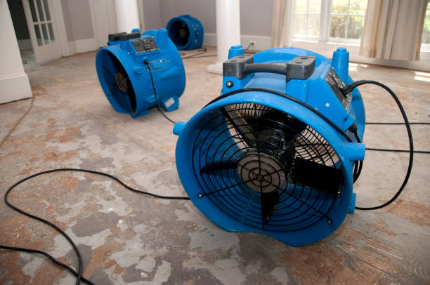 24/7 water damage repair in Grambling, LA