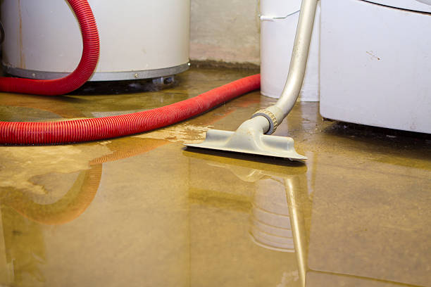 Best 24-hour water damage restoration  in Grambling, LA