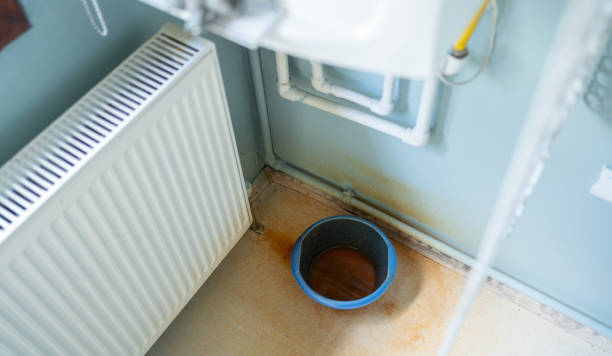 Best Fire Damage Restoration  in Grambling, LA