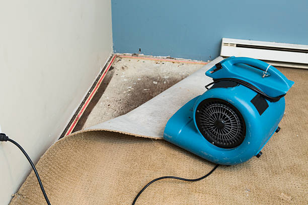 Best Sewage cleanup and water damage restoration  in Grambling, LA